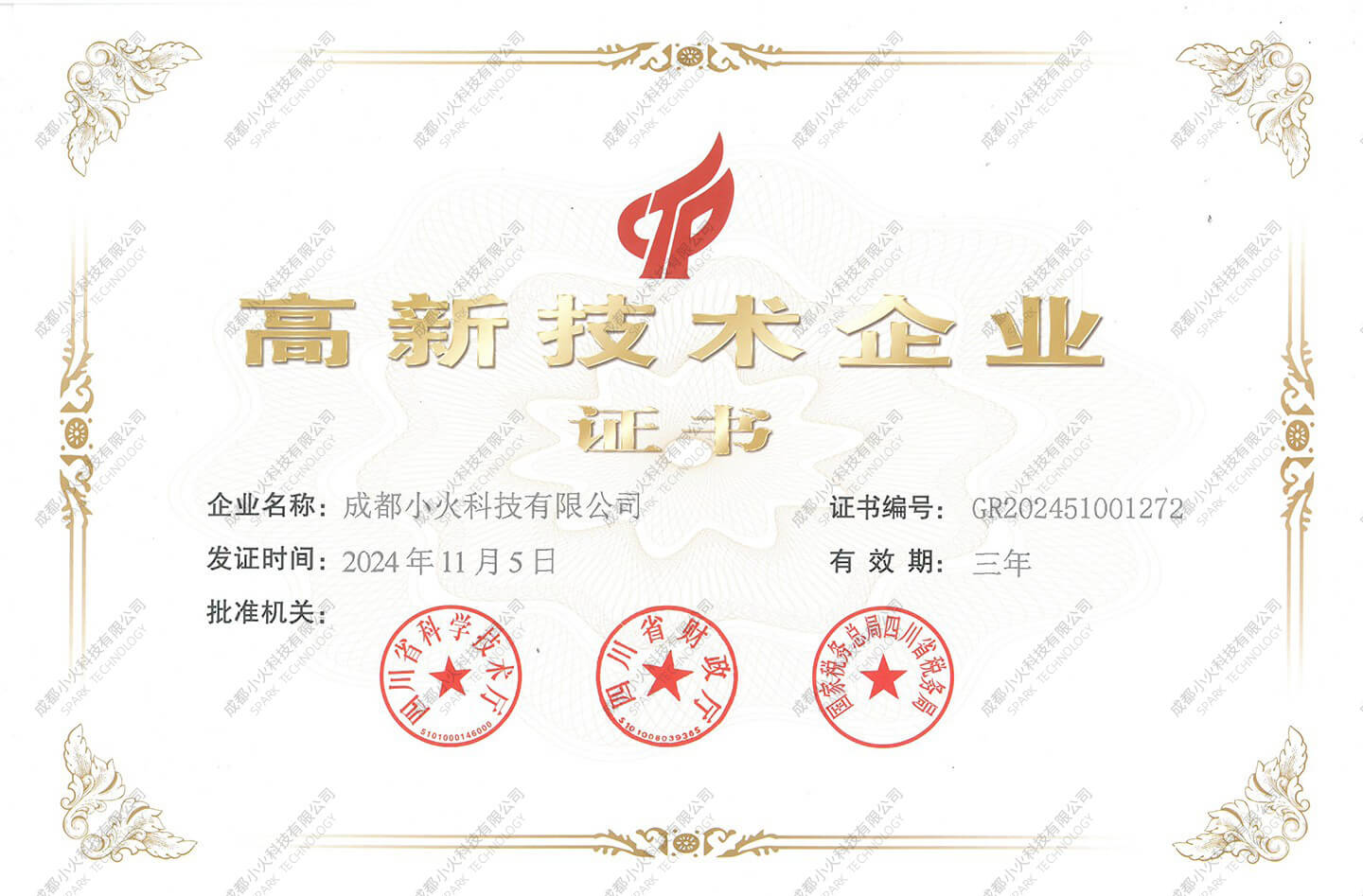 高新技术软件公司